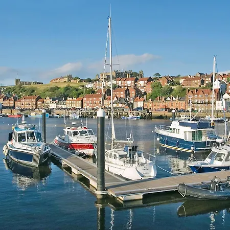 Cherrytree 로프터스