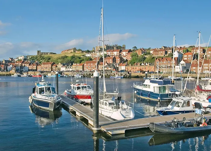 Cherrytree 로프터스